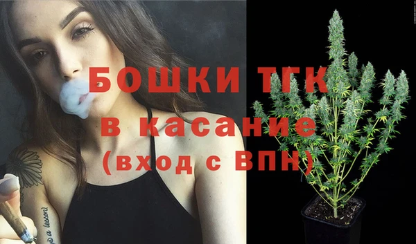 шишки Армянск
