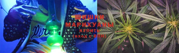 шишки Армянск